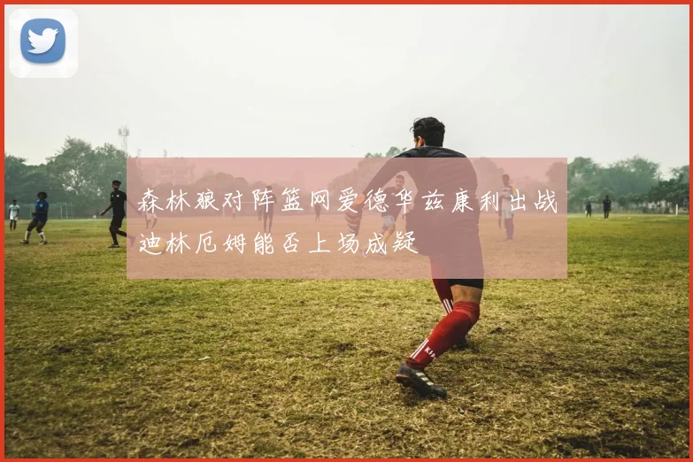森林狼对阵篮网爱德华兹康利出战迪林厄姆能否上场成疑