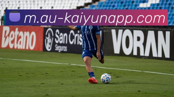 开云体育服务体系